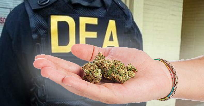 Image result for dea marijuana