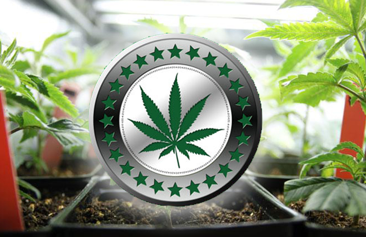 PotCoin: Can the Cryptocurrency for Cannabis Live up to Its Hype?