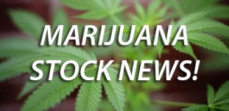 marijuana stock news