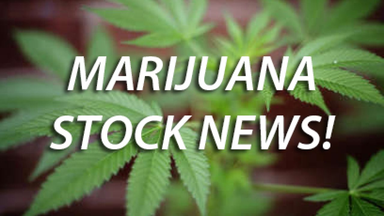 Industrial Hemp Manufacturing Llc Stock Top 20 Marijuana Stocks Canada