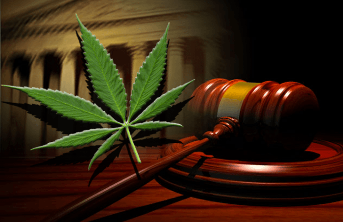 How The Cannabis Industry Is Benefiting From Legalization - Marijuana ...