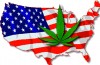 marijuana-stocks-cannbais-USA