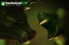 Cannabis Stocks
