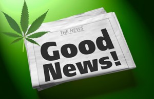marijuana stocks news