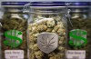 pot stocks