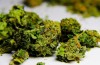 Marijuana-Stocks-weed-1