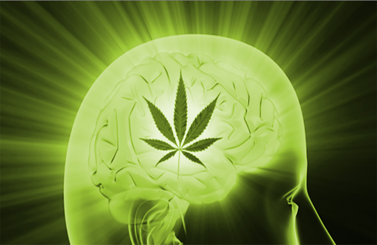 Marijuana-Stocks-brain weed