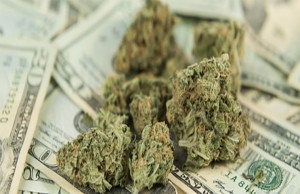 Marijuana-Stocks-Money Nug