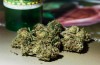 Marijuana-Stocks-nug-6