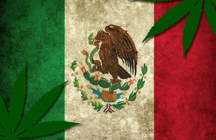 Marijuana-Stocks-Cannabis-Mexico