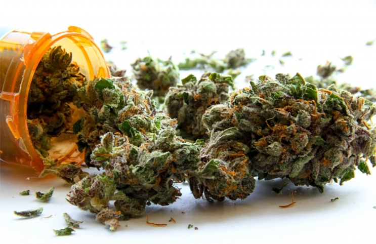 Marijuana-Stocks-Cannabis-weed-11