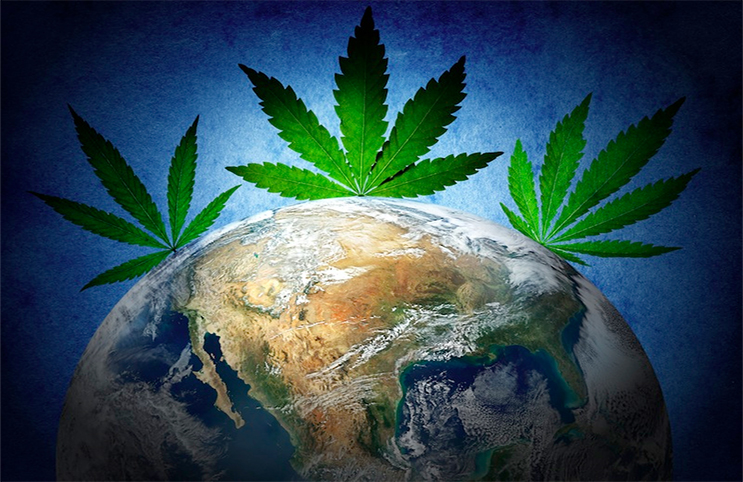 marijuana-stocks-cannabis-globe