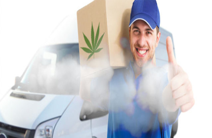 pot delivery services