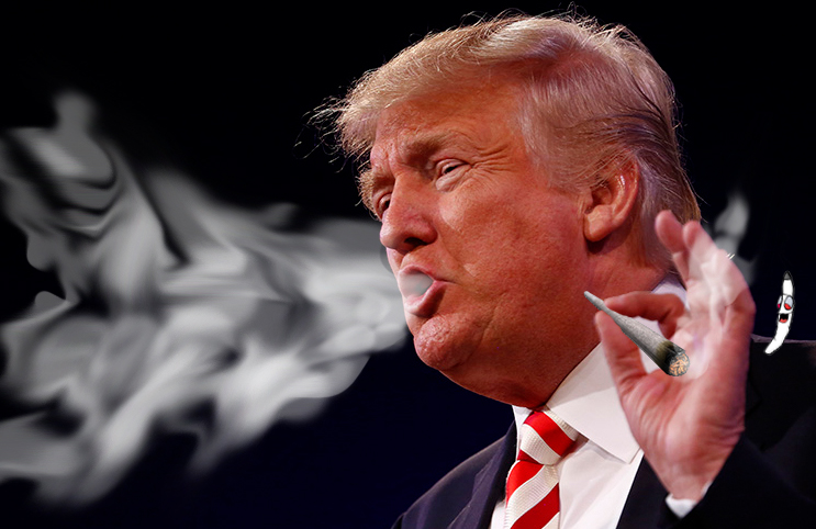 http://marijuanastocks.com/trump-administration-reacts-to-the-rapidly-growing-marijuana-industry/