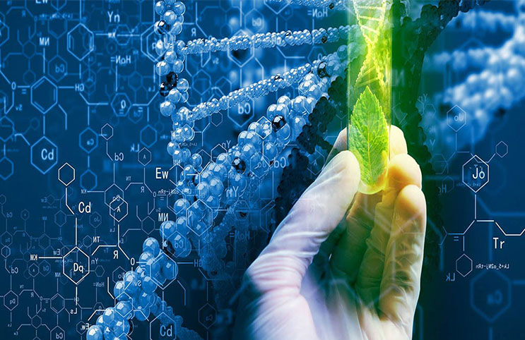 Marjuana-Stocks-cannabis biotech