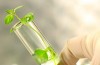 Marijuana-stocks-biotech