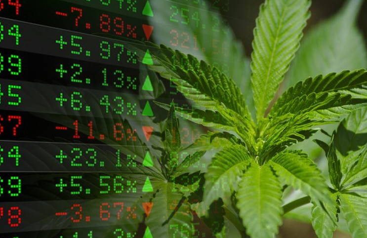 marijuana stocks cannabis