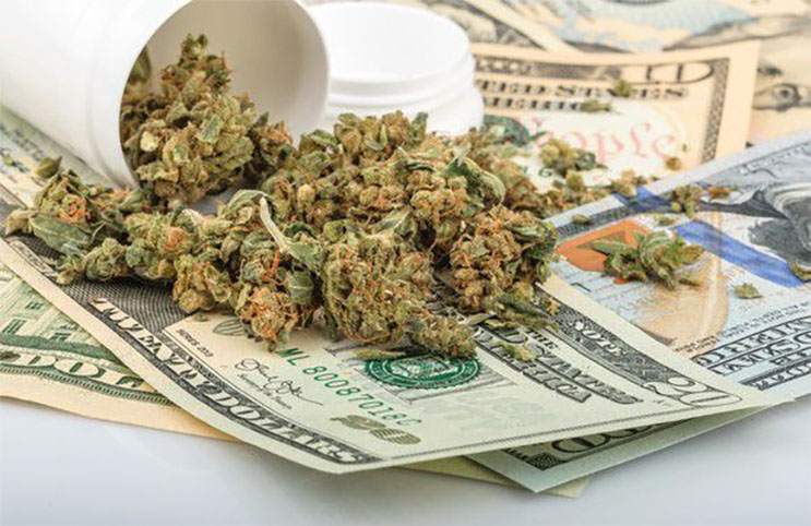 marijuana stocks money