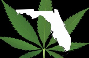 Florida-cannabis-