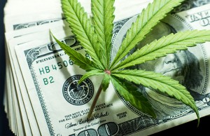 marijuana stocks cannabis investing