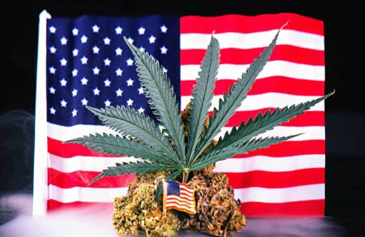 VA-New-Medical-Marijuana