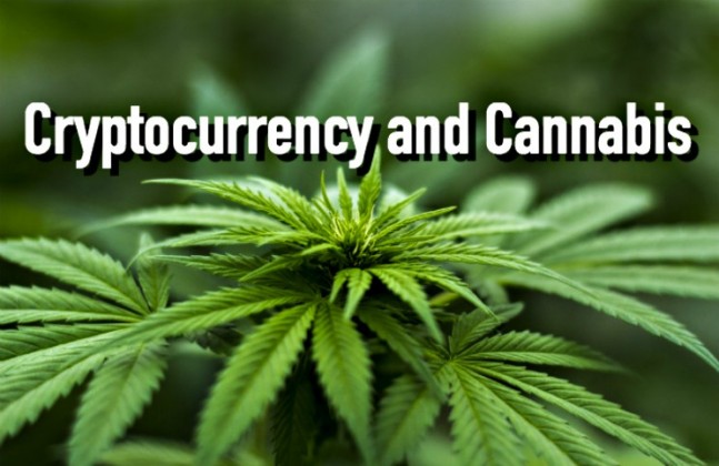 cannabis cryptocurrency stock