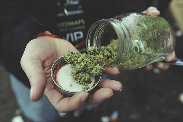 Marijuana Stocks Cannabis Jar