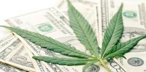 marijuana stocks to watch