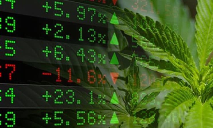 marijuana stocks investing