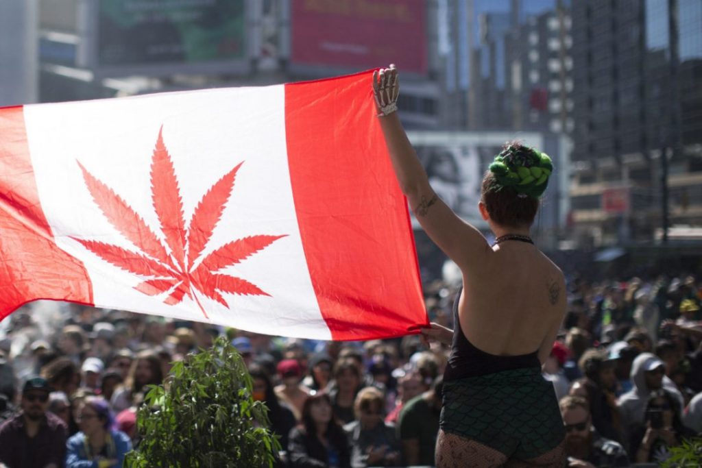 Canada marijuana stocks