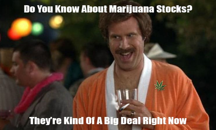 pot stocks