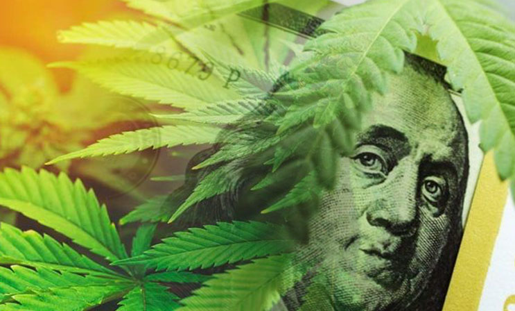 marijuana stocks investing