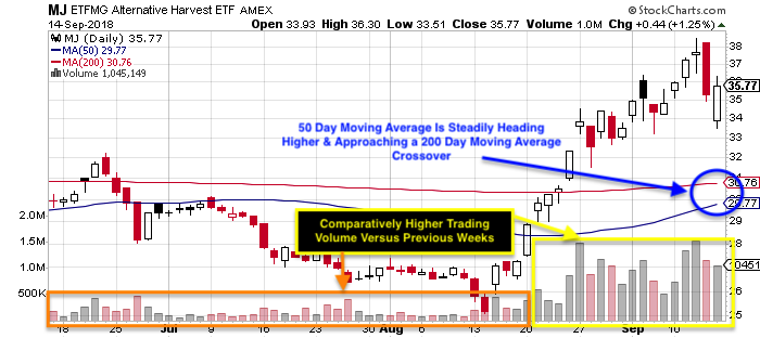 buy cannabis stock chart