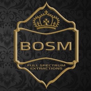 BOSM Labs