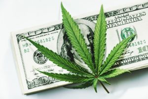 marijuana stocks to buy