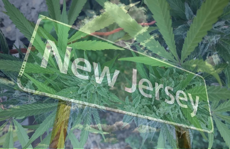 Marijuana-New-Jersey