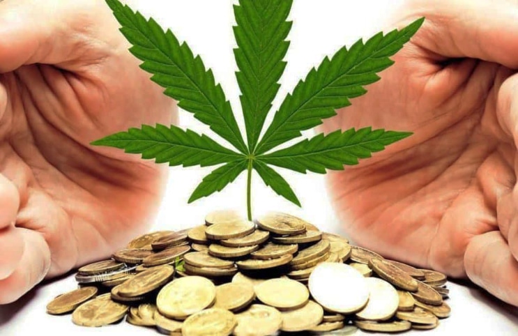 Marijuana risk Penny pot stocks