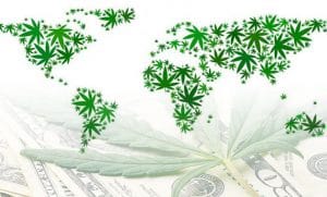 marijuana stocks global