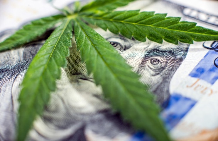 marijuana stocks money