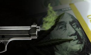 marijuana stock smoking gun