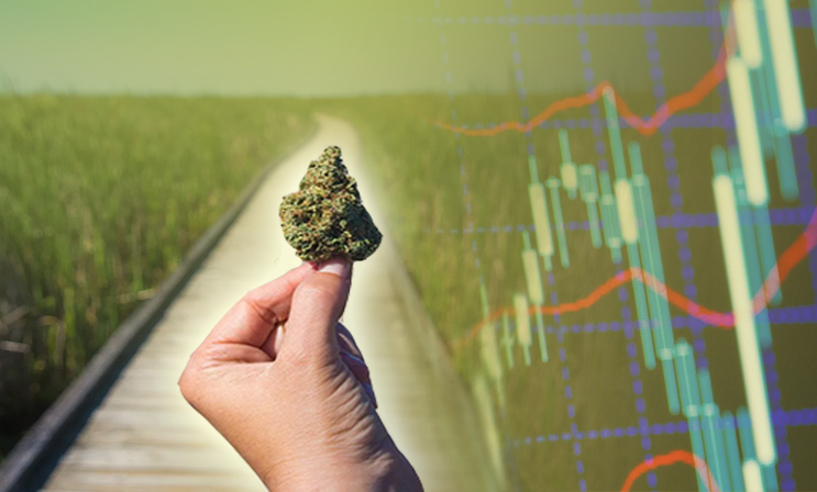 marijuana stocks to watch summer