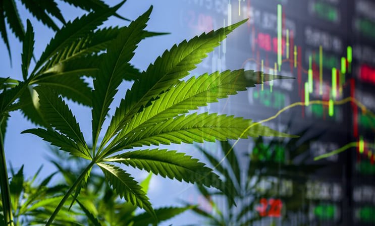 marijuana stocks september