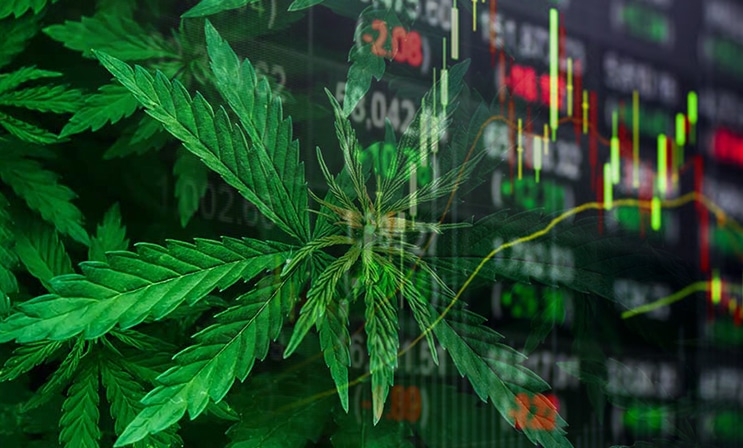 marijuana stocks june
