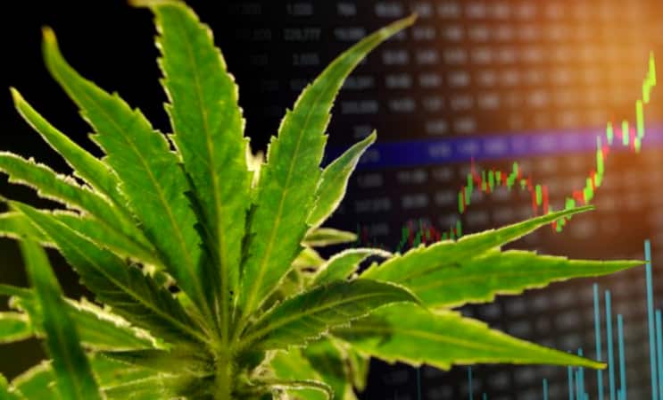 marijuana-stocks-news-july