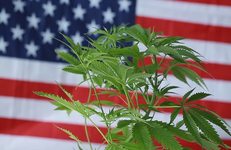 US marijuana stocks to watch