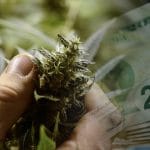 make money with marijuana stocks