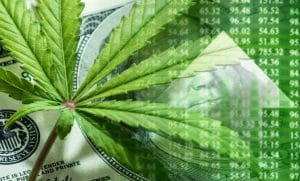 marijuana stocks to buy