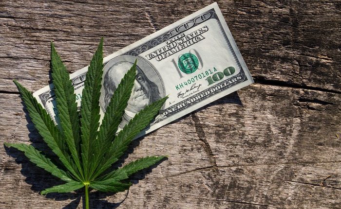 Marijuana Stocks Continue To Be A Safe Haven From The Larger Stock Market