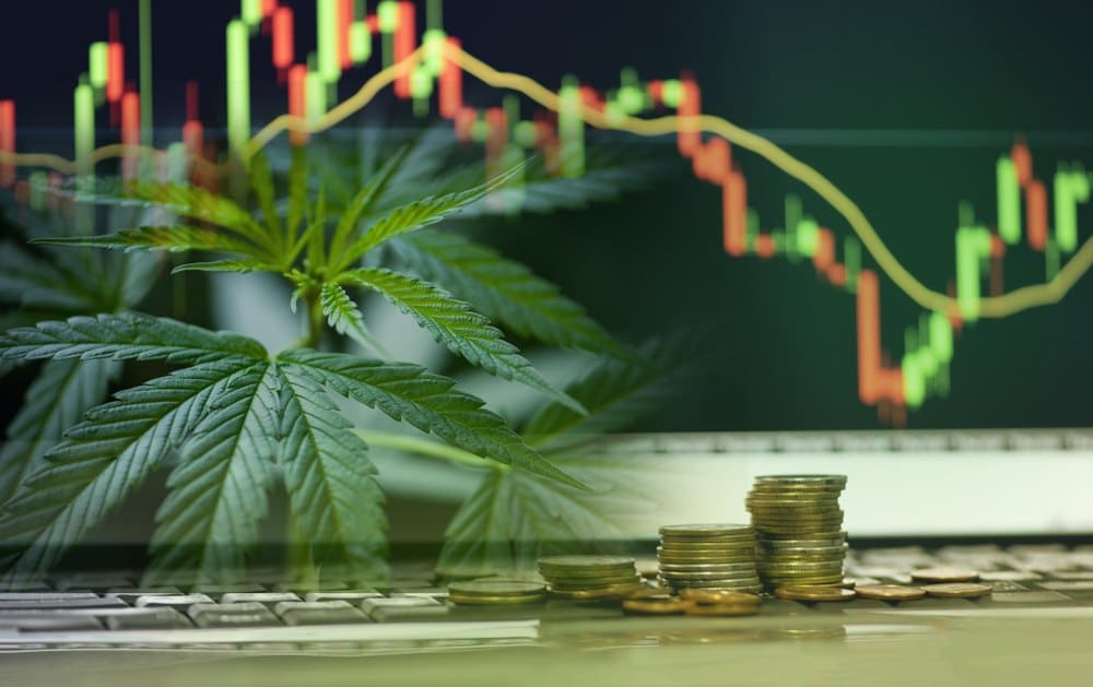 how to buy pot stocks