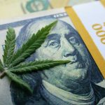 marijuana stocks to watch